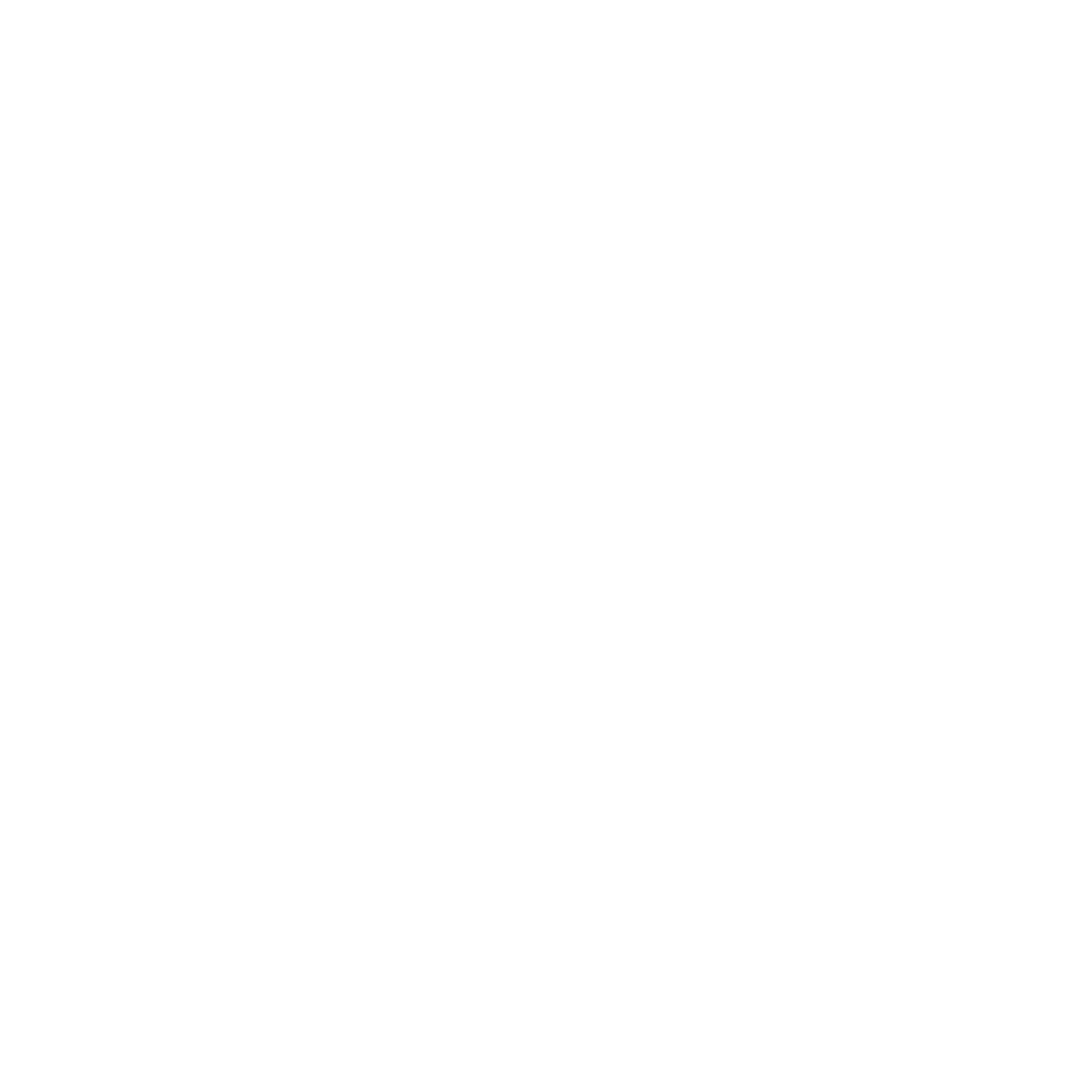 G4I_LinkedIn_White